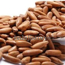Pine Nuts
