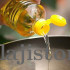 Edible Oil